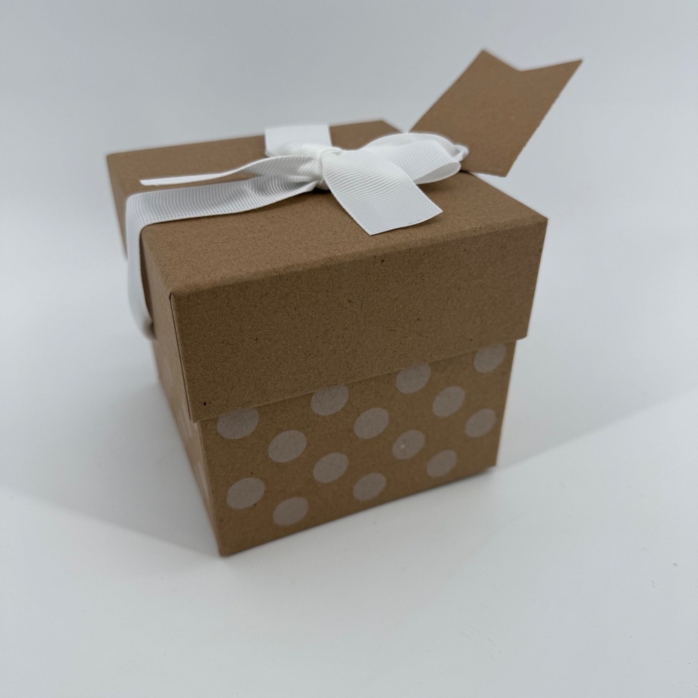 Spritz Kraft Paper Gift‎ Box Lot Of 24 White Polka Dot Ribbon Tag 4.25" Square